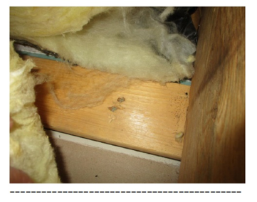 DESEU june newsletter_image2